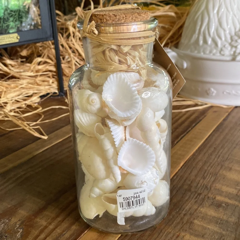 Pottery Barn Sally’s Seashore Seashells “Shells In A Bottle” Vase Filler 🐚 - Picture 6 of 16